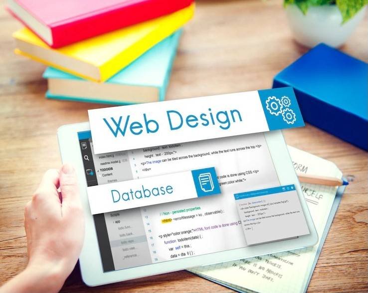 WEB DESIGNING & DEVELOPMENT at Netspace software